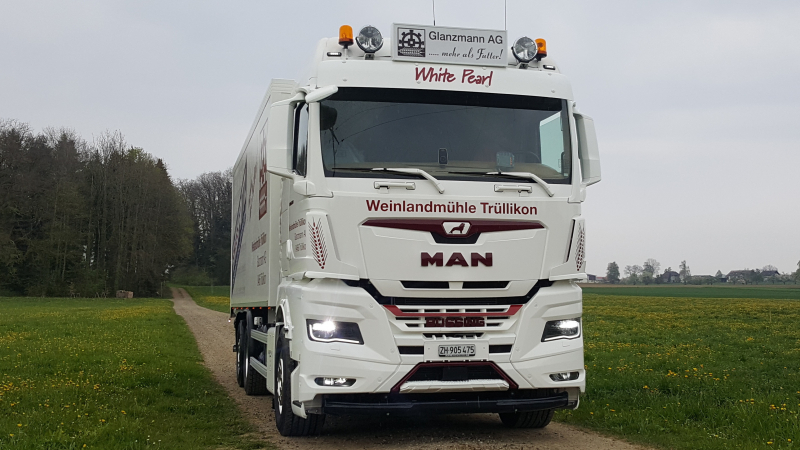 MAN TGX 26.510 6x2-4 Vollluftgefeder 